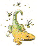 Small Dino